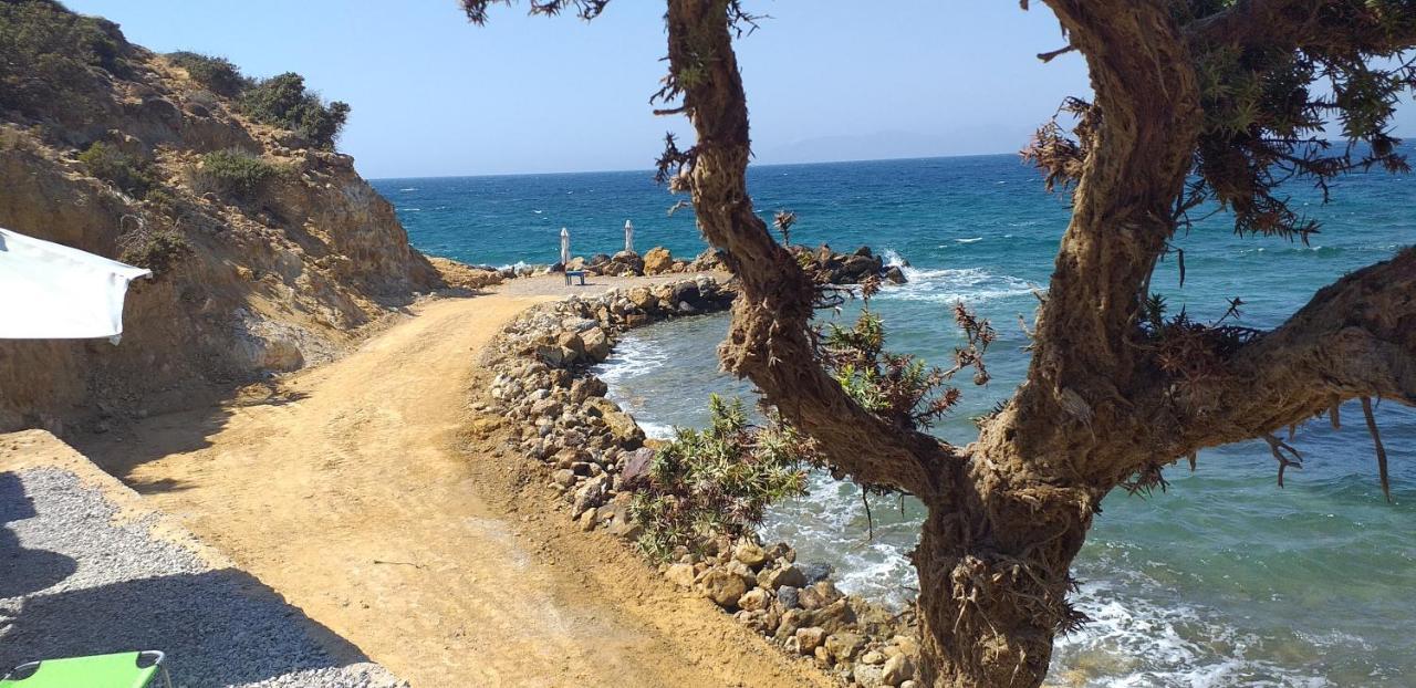 Ktima Sfakia Villa Kéfalosz Kültér fotó